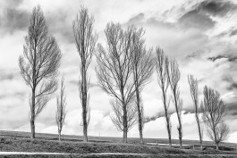 Studio Julian Kroehl