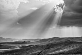  Fotograf Mannheim Heidelberg Rhein-Neckar