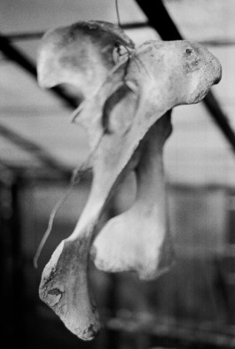 Studio Julian Kroehl