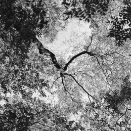 Studio Julian Kroehl