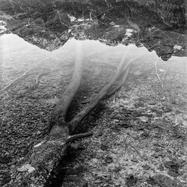 Studio Julian Kroehl