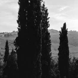 Studio Julian Kroehl