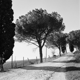 Studio Julian Kroehl