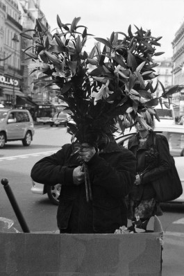 Studio Julian Kroehl