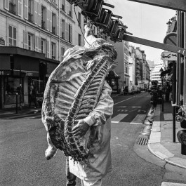 Studio Julian Kroehl