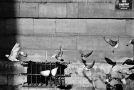 Studio Julian Kroehl