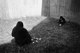 Studio Julian Kroehl