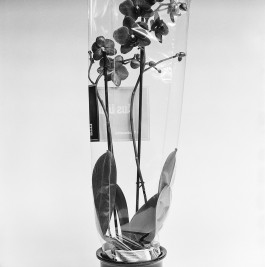 Studio Julian Kroehl